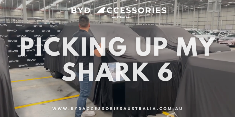 PICKING UP MY SHARK 6: FIRST IMPRESSIONS AND MORE