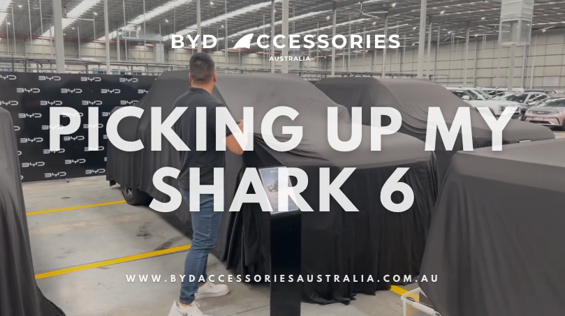 PICKING UP MY SHARK 6: FIRST IMPRESSIONS AND MORE
