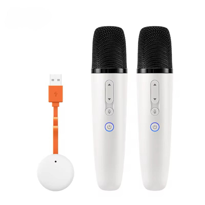 BYD WIRELESS MICROPHONE MIC KARAOKE BYD FACTORY RECHARGEABLE PA SYSTEM EASY TO USE SING USB C 1