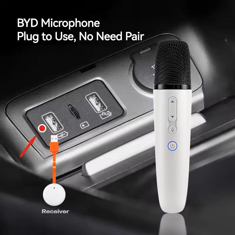 BYD WIRELESS MICROPHONE MIC KARAOKE BYD FACTORY RECHARGEABLE PA SYSTEM EASY TO USE SING USB C 2