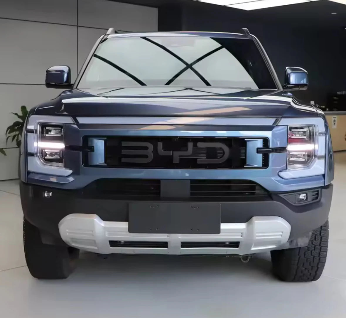 BYD Shark 6 Front Emblem Badge